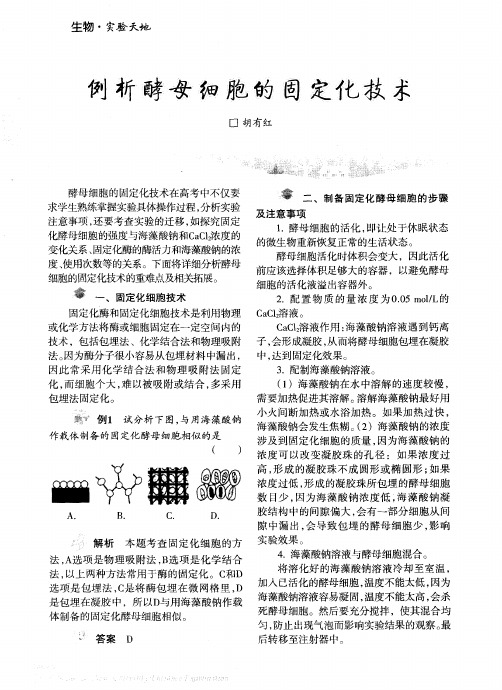 例析酵母细胞的固定化技术