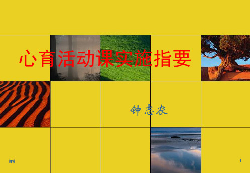 心育活动课实施指要新版16经典.ppt