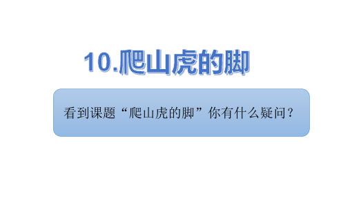人教部编版爬山虎的脚语文四年级上册[1]