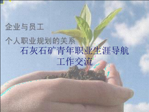 青年职业生涯导航工作交流