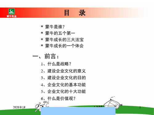 蒙牛企业文化的内涵(ppt 89页)