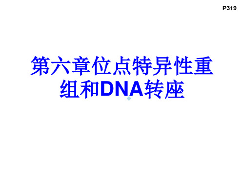 第1节位点特异性重组
