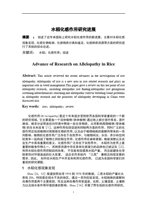 水稻化感作用综述