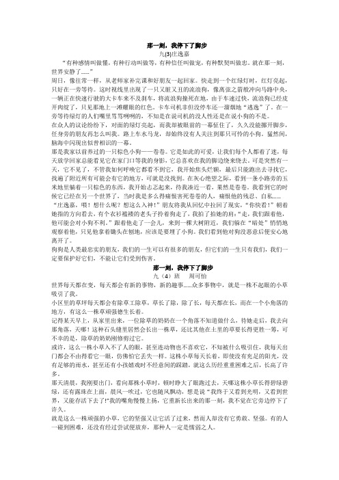 那一刻,我停下了脚步(作文)