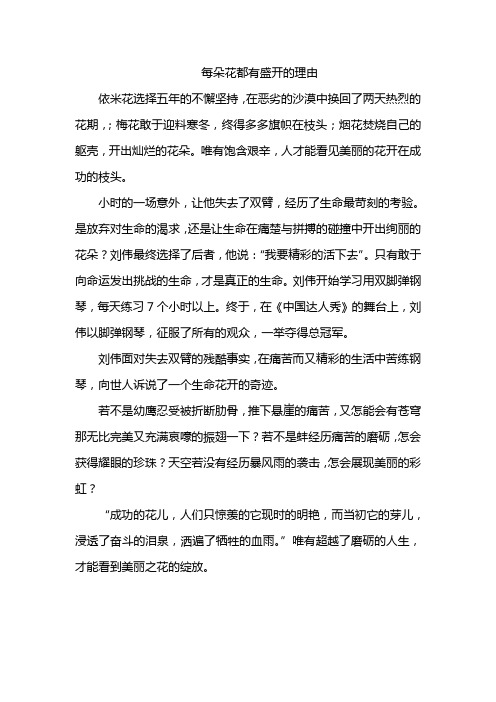 每朵花都有盛开的理由