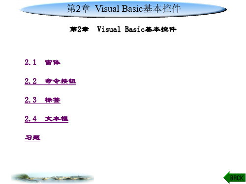 精品课件-Visual Basic程序设计案例教程-第2章