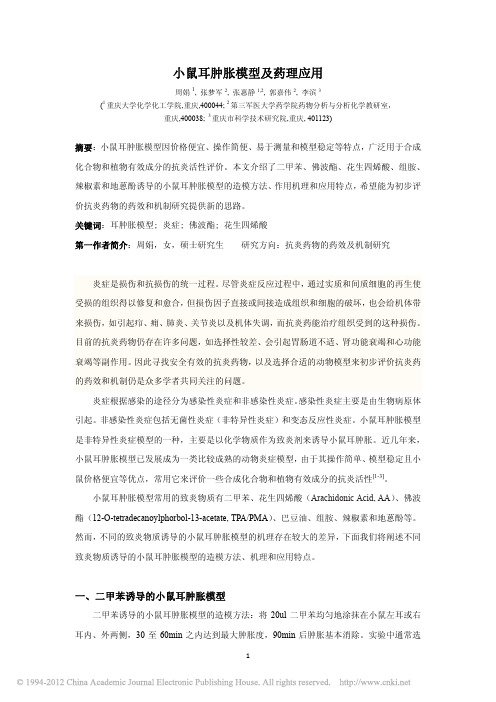 小鼠肿胀模型及实验