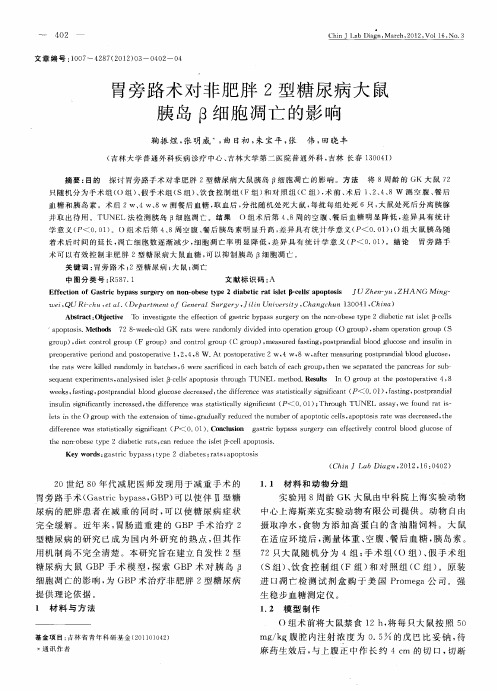 胃旁路术对非肥胖2型糖尿病大鼠胰岛β细胞凋亡的影响