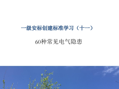 11  60种常见电气隐患PPT课件