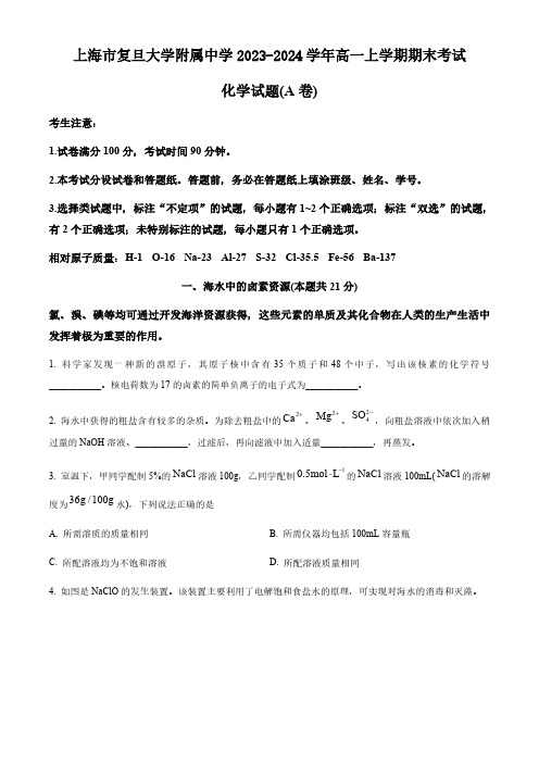 上海市复旦大学附属中学2023-2024学年高一上学期期末考试化学试卷(A卷)(含答案)