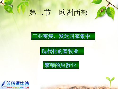 《欧洲西部》ppt课件