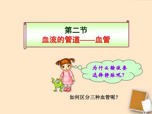 《血流的管道--血管》