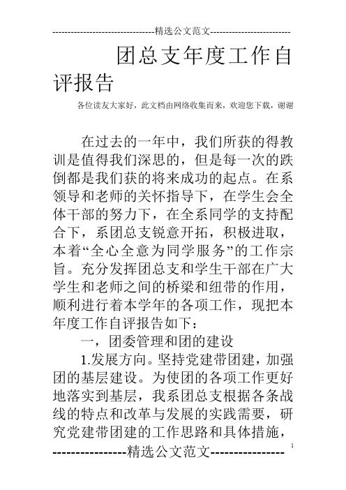 团总支年度工作自评报告