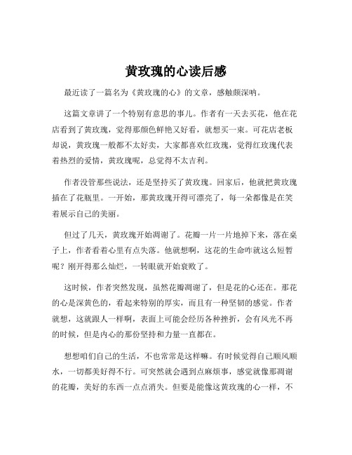 黄玫瑰的心读后感