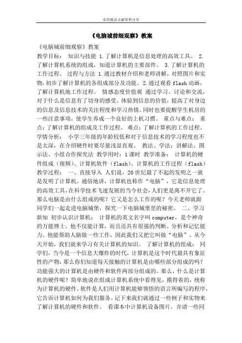 电脑城前细观察教案