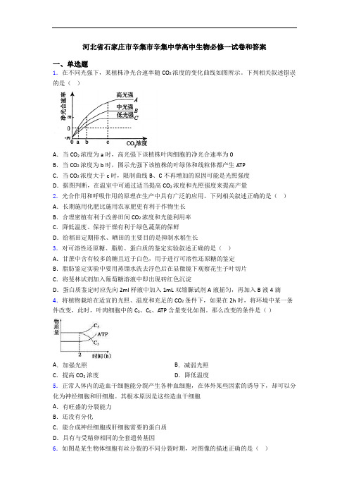 河北省石家庄市辛集市辛集中学高中生物必修一试卷和答案