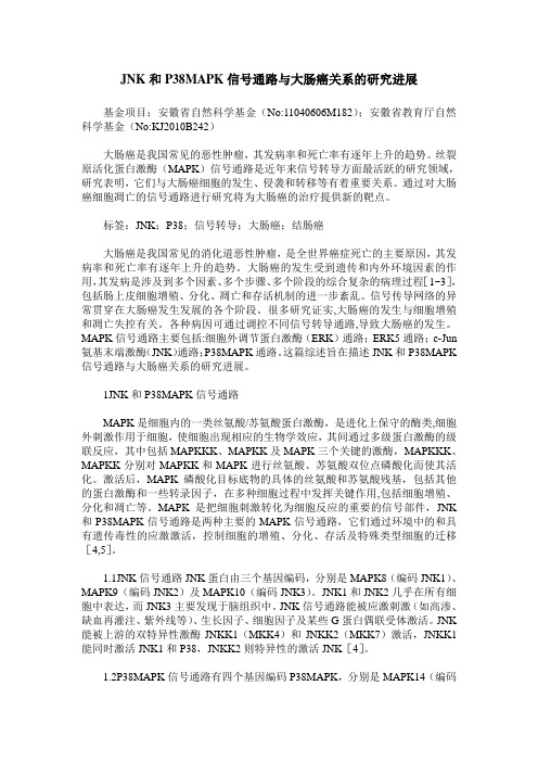 JNK和P38MAPK信号通路与大肠癌关系的研究进展