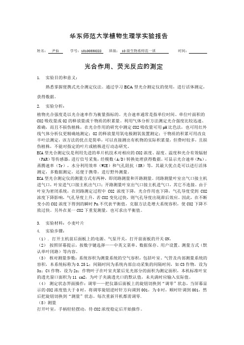 光合作用、荧光反应的测定