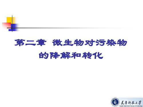 微生物对污染物的降解和转化