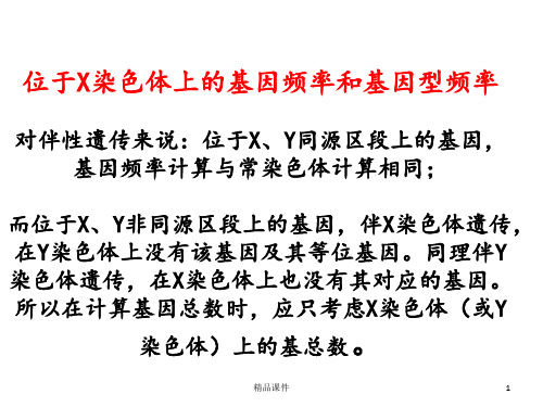 位于X染色体上的基因频率和基因型频率