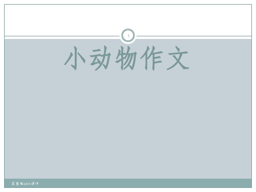 作文指导小动物作文ppt课件 (2)