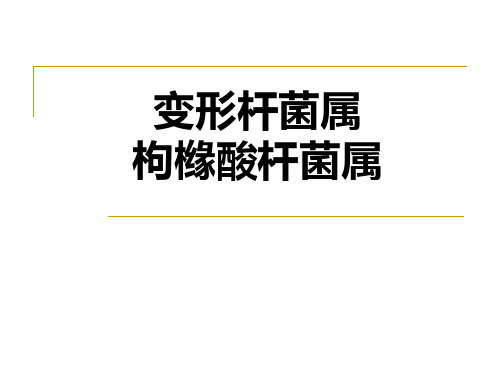 临床微生物：变形杆菌属 枸橼酸杆菌属