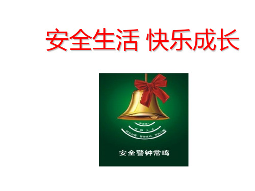 安全生活 快乐成长主题班会(共31张ppt)