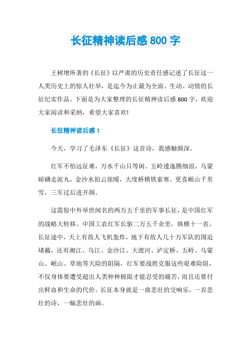 长征精神读后感800字