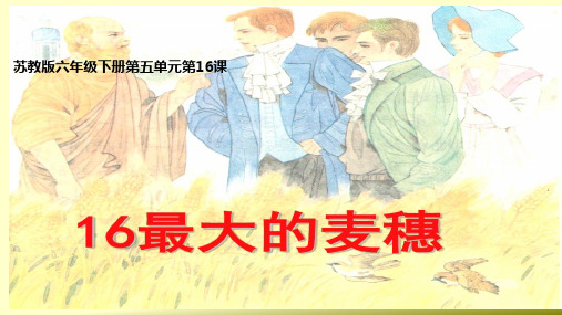 最大的麦穗 学科信息：语文-苏教版-六年级下-语文苏教六年级下册