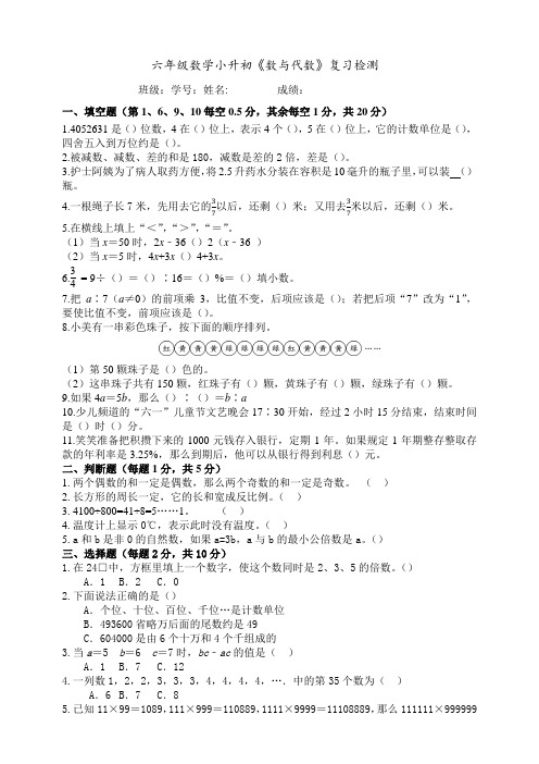 北师大版小学六年级下册数学小升初《数与代数》复习检测试题(含答案)