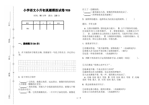 【小学教育】2019最新小学语文小升初(通用版)真题模拟试卷VO9—8K可直接打印