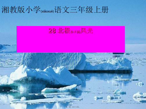 三年级语文上册 第八单元 北极风光课件