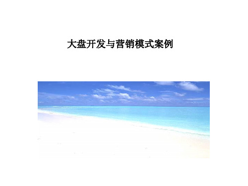 大盘开发与营销模式案例