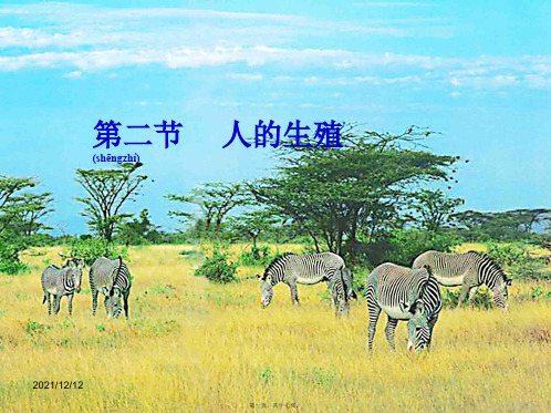 七年级生物下册 第四单元 第一章 第二节 人的生殖课件1