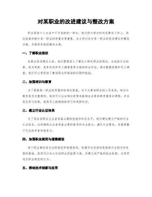 对某职业的改进建议与整改方案