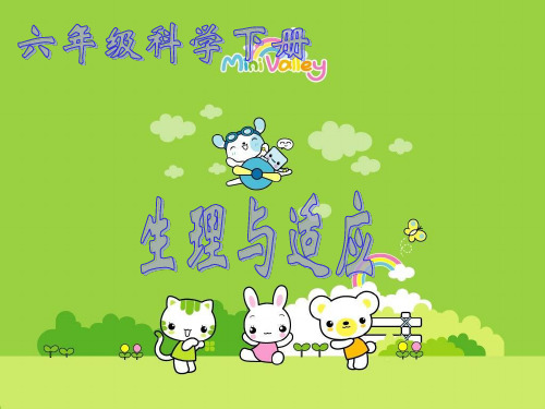 生理与适应PPT课件