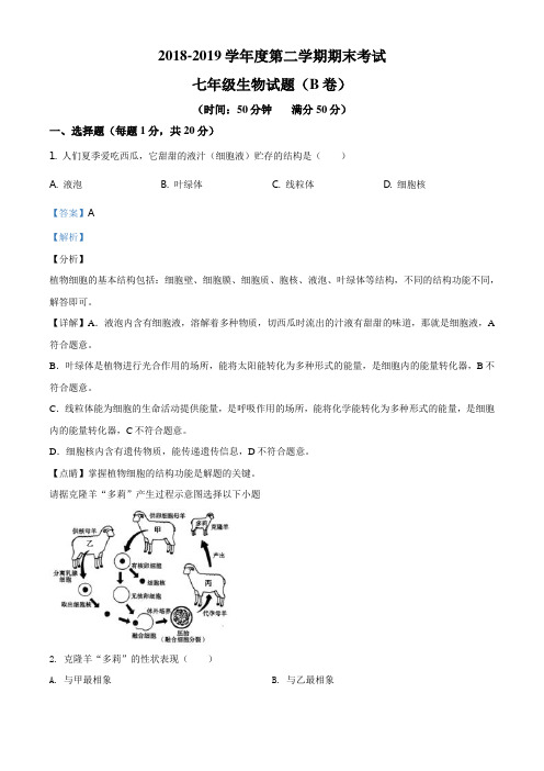 精品解析：江苏省徐州邳州市2018-2019学年七年级下学期期末(B卷)生物试题(解析版)