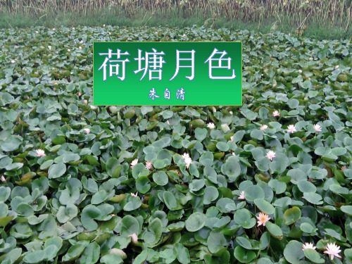 人教版必修二第一单元《荷塘月色》优质PPT