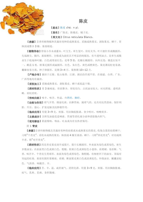 陈皮
