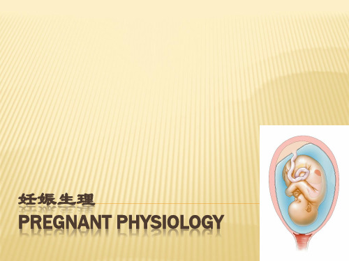 妊娠生理PPT课件