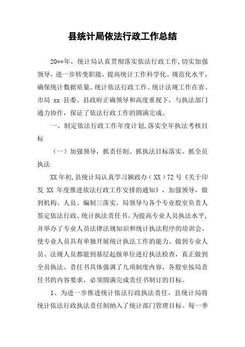县统计局依法行政工作总结