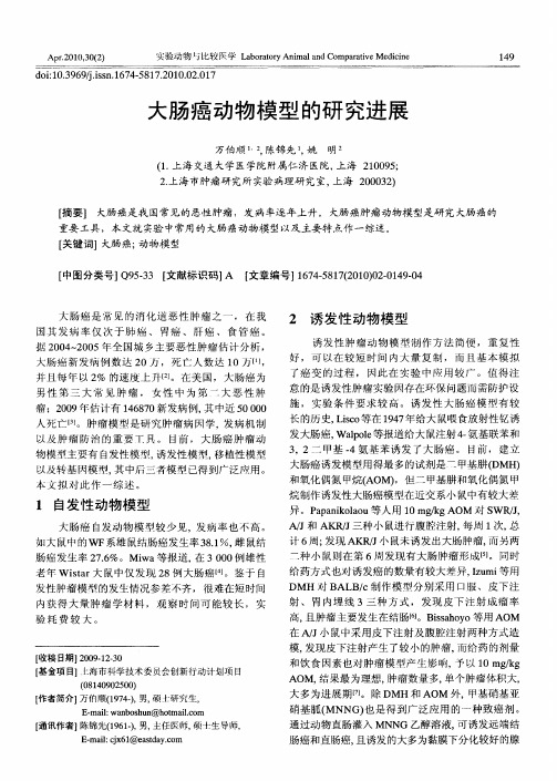 大肠癌动物模型的研究进展