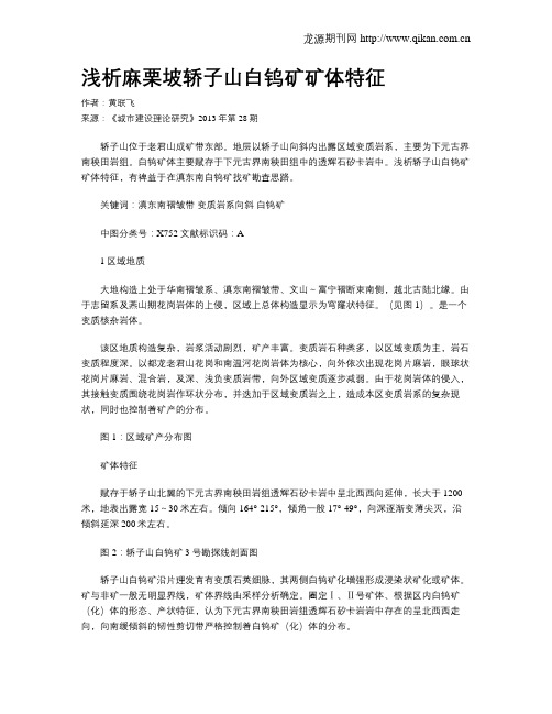 浅析麻栗坡轿子山白钨矿矿体特征