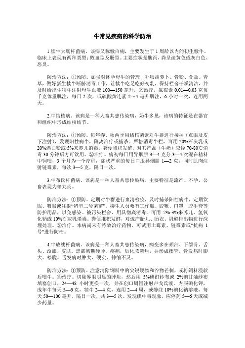 牛常见疾病的科学防治