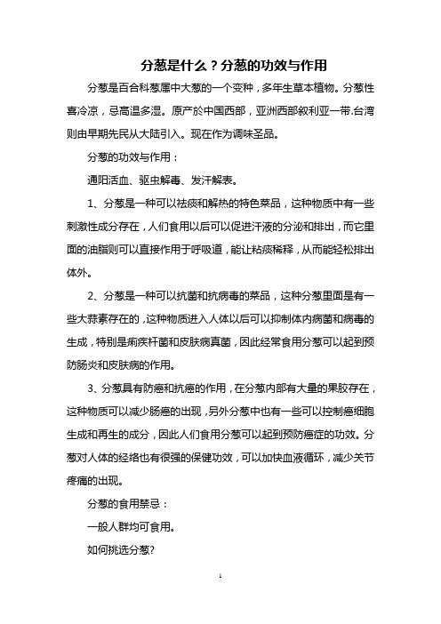 分葱是什么？分葱的功效与作用