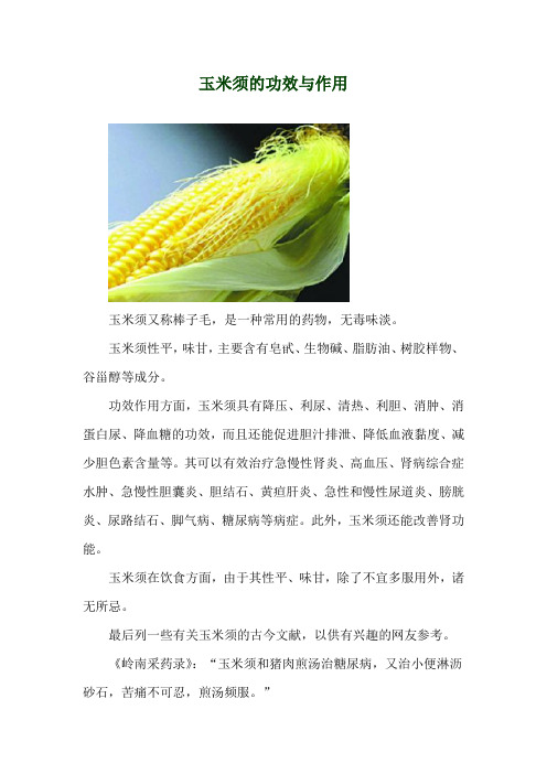玉米须的功效与作用