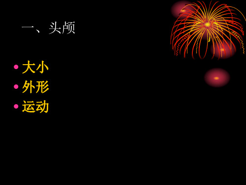 头部检查PPT课件