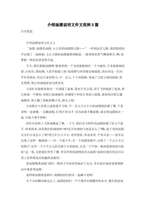 介绍汤圆说明文作文范例5篇