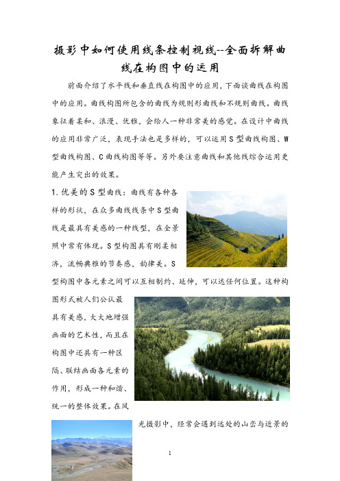 摄影中如何使用线条控制视线--全面拆解曲线在构图中的运用技巧