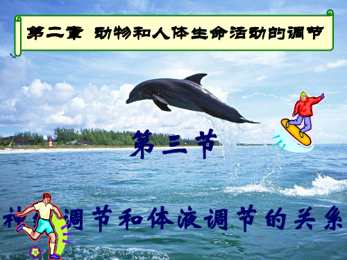 生物：2.3《神经调节与体液调节的关系》(新人教版必修3)(1) PPT课件